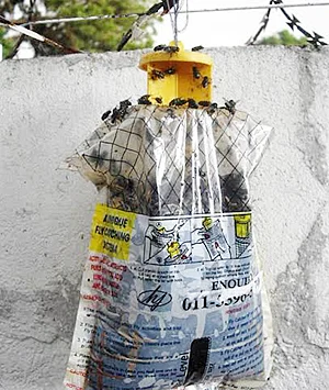 Now, a machine to catch flies