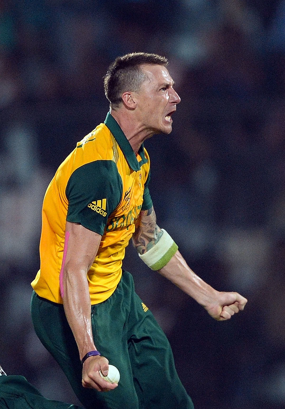 Sensational Steyn too hot to handle for Kiwis