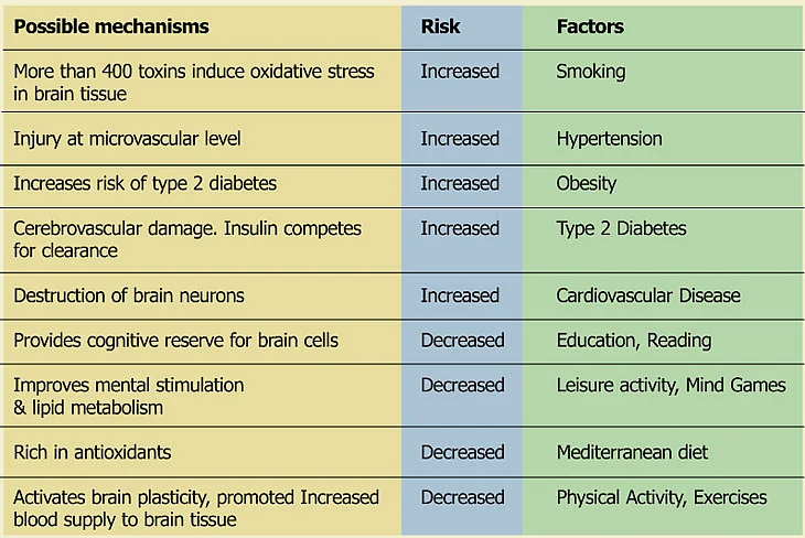 Understanding Alzheimer’s Disease
