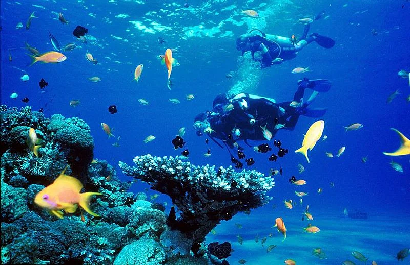 Enjoy snorkeling at Bangaram.<br />Picture Credits: Flicker