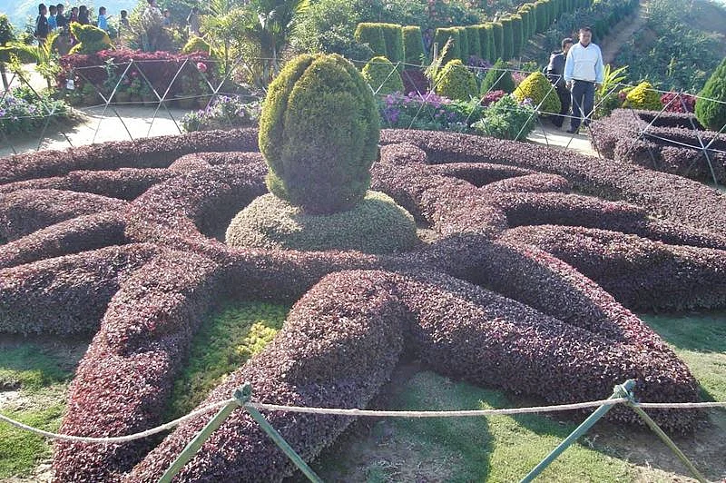 Blooming beauty at Kakching<br />Picture credits: in.worldmapz.com