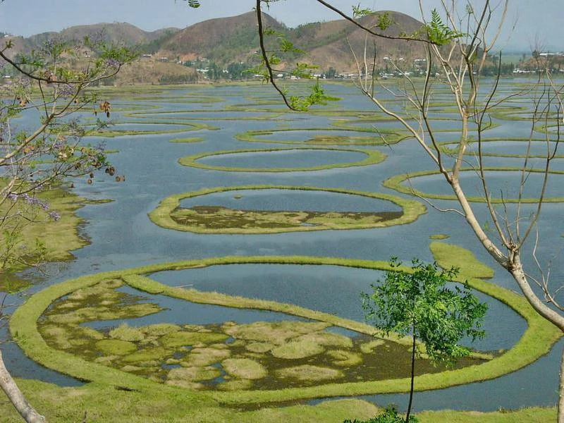 The unique Loktak Lake<br />Picture credits: topicstockpantip.com