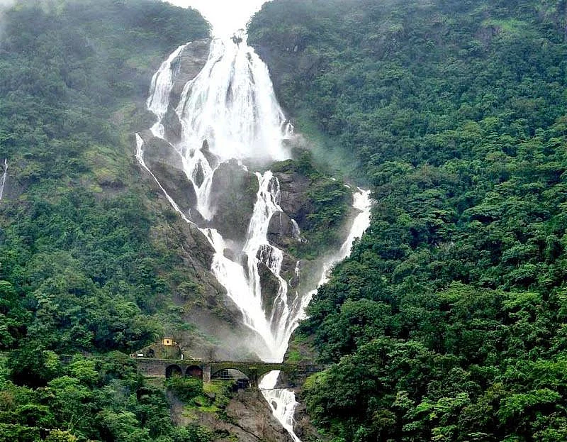 Dudhsagar Waterfalls<br />Picture credits: www.vistanature.com
