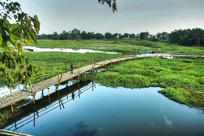 Majuli Island<br />Picture credits: unwindlife.com