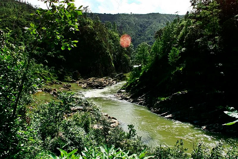 Mawphlang<br />Picture credits: riverandforest.wordpress.com