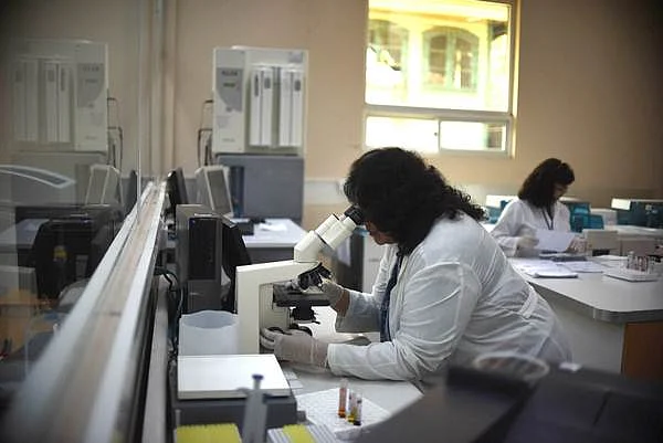 All you need to know about the ‘Zapping Zika’