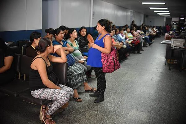 All you need to know about the ‘Zapping Zika’