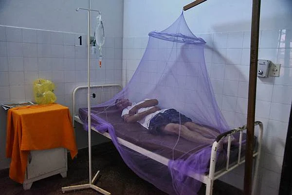 All you need to know about the ‘Zapping Zika’