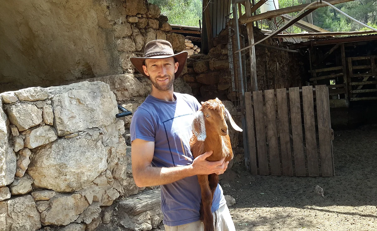 <strong>Omer Seltzer with one of his goats</strong>