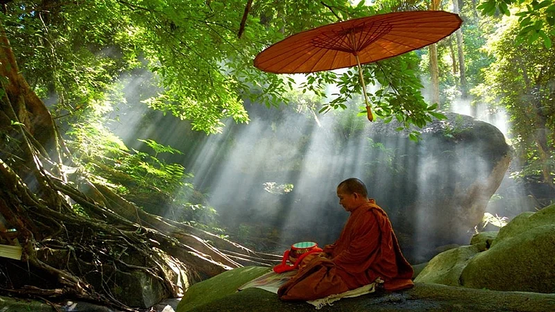 Ideas, Intelligence and Wisdom