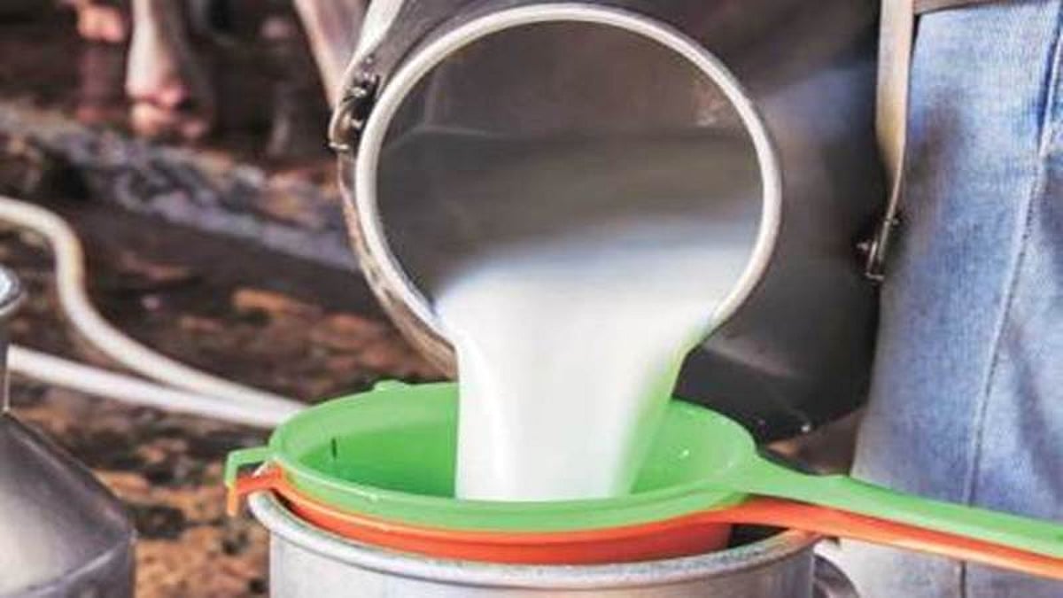 Indore Milk to cost Rs 47 per litre from November 1, Sanchi milk