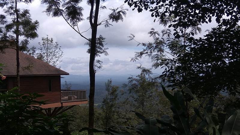 Coorg: The coffee plantation haven