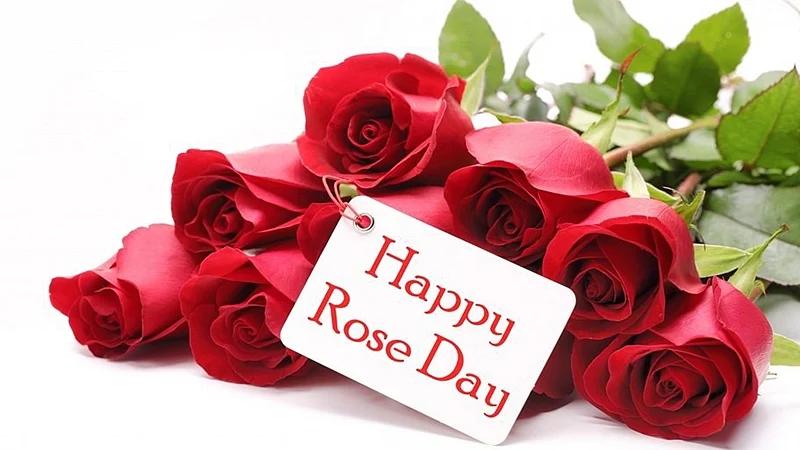 Valentine’s Day 2019: 7 days of love, know exactly what each day stands for!