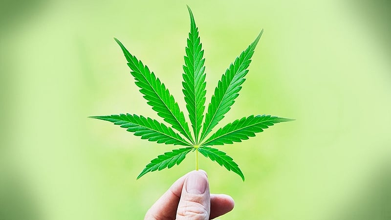 In these countries, possessing marijuana is legal, if you know the limits