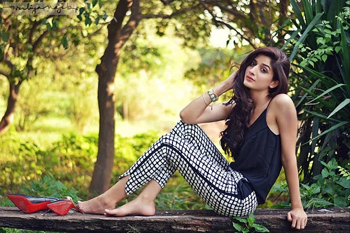 Birthday Boy Fawad Khan to Saba Qamar: Pakistani stars who have acted in Bollywood