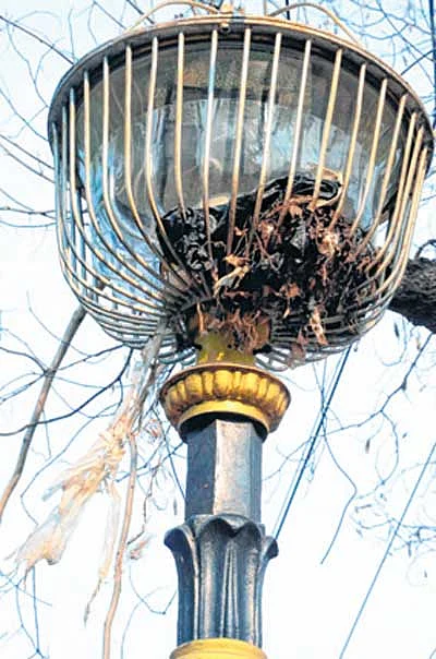 Bhopal beautification fund misused: Congress corporator Mohammed Safiq