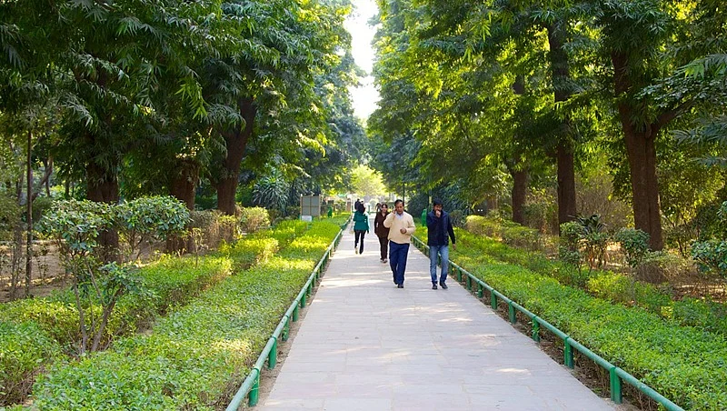 Discovering the green side of New Delhi
