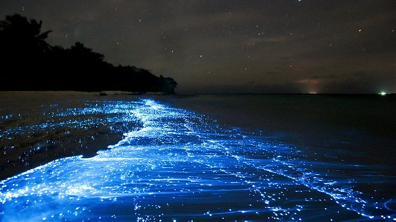 World Earth Day: 10 rare and gorgeous natural phenomena on Earth