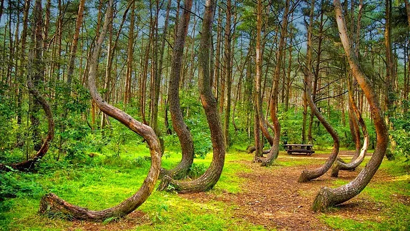 World Earth Day: 10 rare and gorgeous natural phenomena on Earth