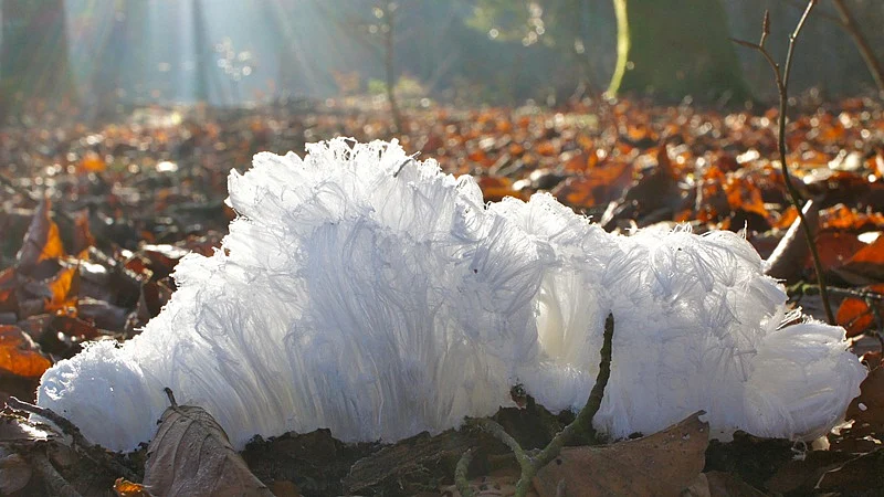 World Earth Day: 10 rare and gorgeous natural phenomena on Earth