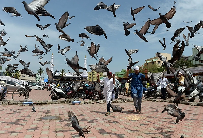 Young Indian Muslims walk past pigeons after Eid al-Fitr prayers at Wallajah Mosque in Chennai on June 16, 2018. / AFP PHOTO / Arun SANKAR