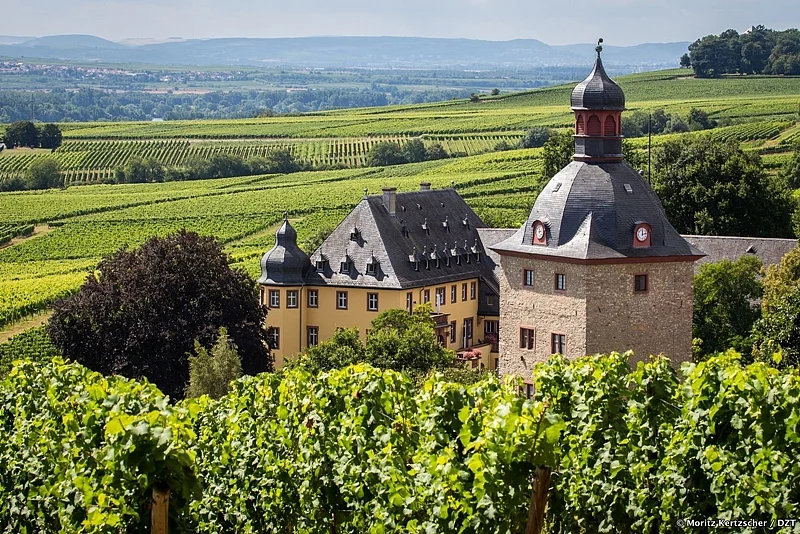 Rhine Valley