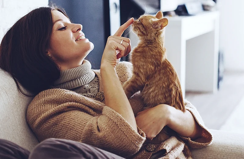 Young woman wearing warm sweater is resting with a cat on the armchair at home one autumn day