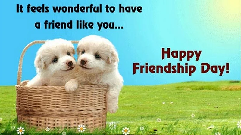 International Friendship Day 2018: Wishes, messages to share on WhatsApp, Facebook and SMS