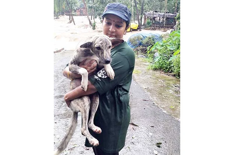 Finding & rescuing flood-hit fauna