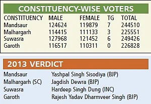 MP Assembly Elections 2018: BJP must be wary of Mandsaur pitch