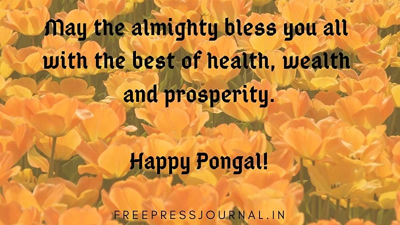 Pongal 2021: Wishes, Greetings, Quotes, Messages to share on Facebook, Whatsapp, and Instagram