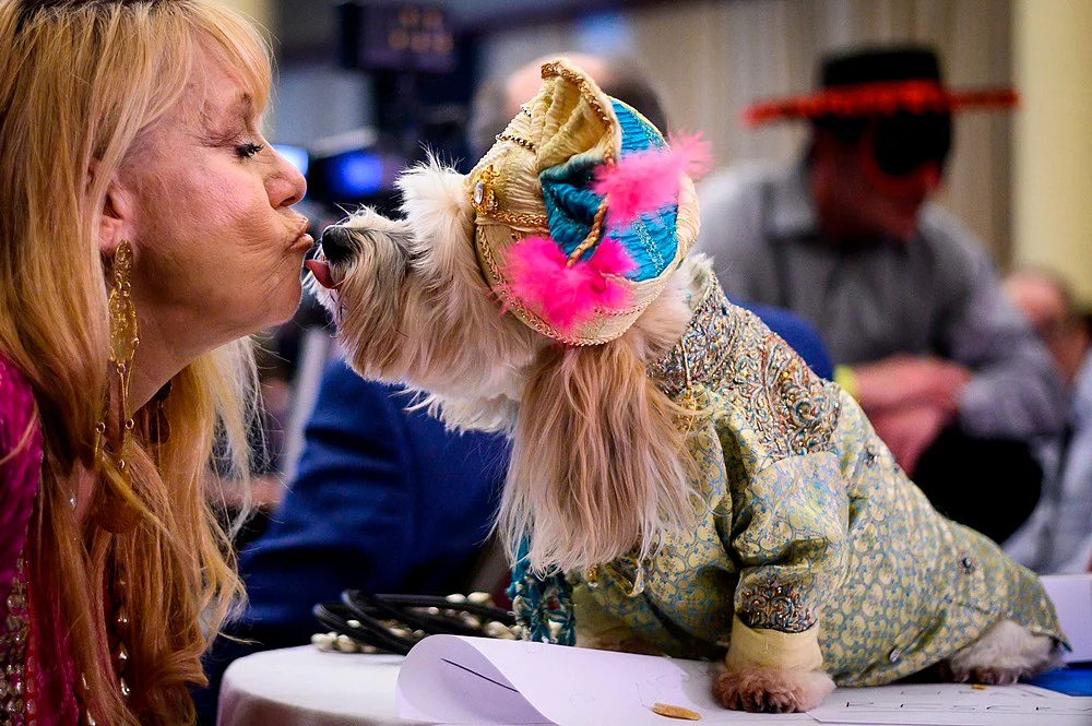 It’s Pawsome! All pictures from New York Pet Fashion Show 2019