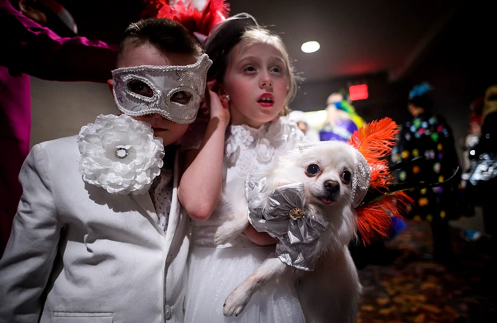 It’s Pawsome! All pictures from New York Pet Fashion Show 2019