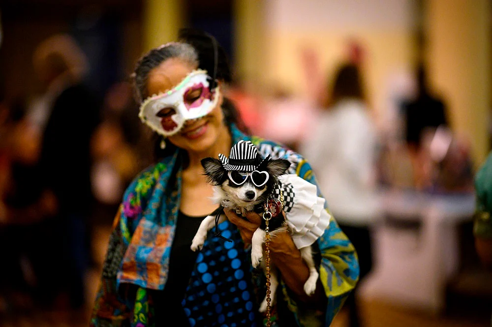 It’s Pawsome! All pictures from New York Pet Fashion Show 2019