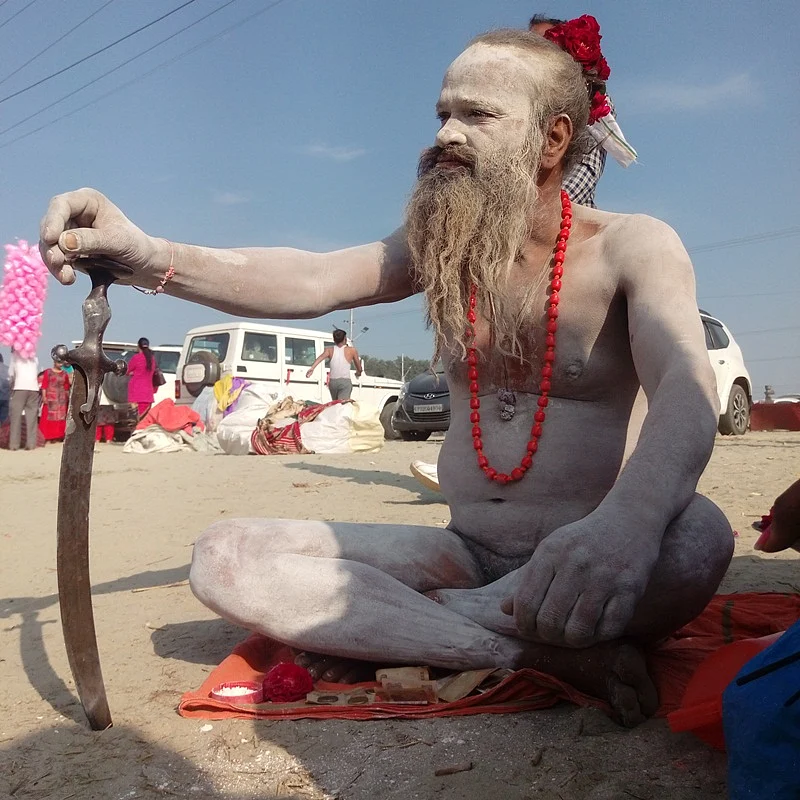 Gajanand Guru Naga Baba