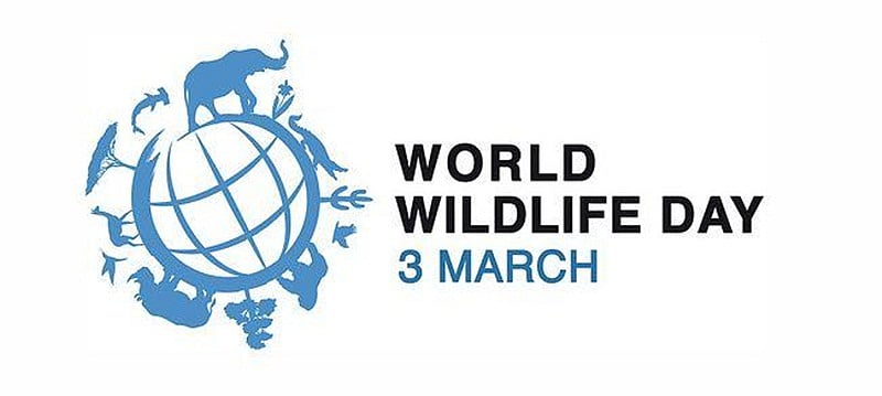 Indore: ‘Save life on land, in water and air’