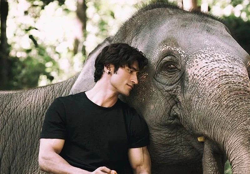 World Health Day 2019: 10 Hot Bollywood celebs who are vegan