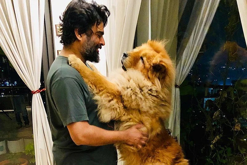 World Health Day 2019: 10 Hot Bollywood celebs who are vegan