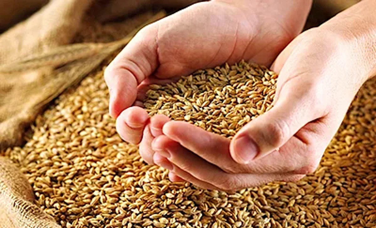 भारताने घातलेल्या गव्हाच्या निर्यात बंदीवर चीनचे समर्थन