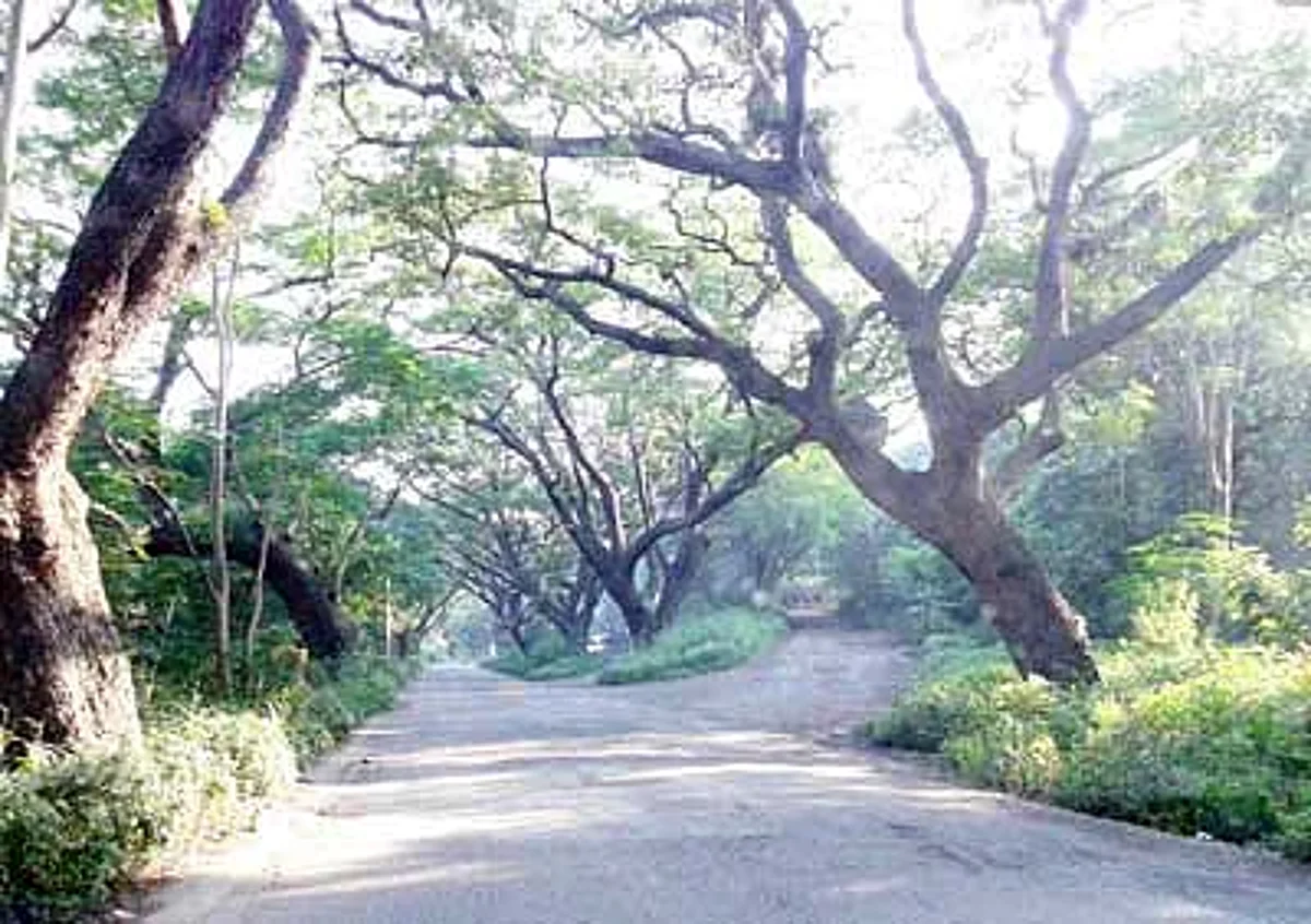 आरे कॉलनीत प्राण्यांसाठी स्वतंत्र भुयारी मार्ग करणार