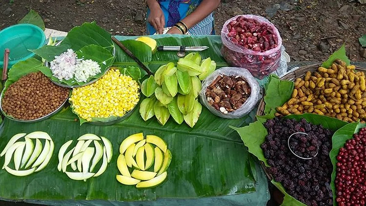 जंगलातील रानमेवा होतोय दुर्मीळ