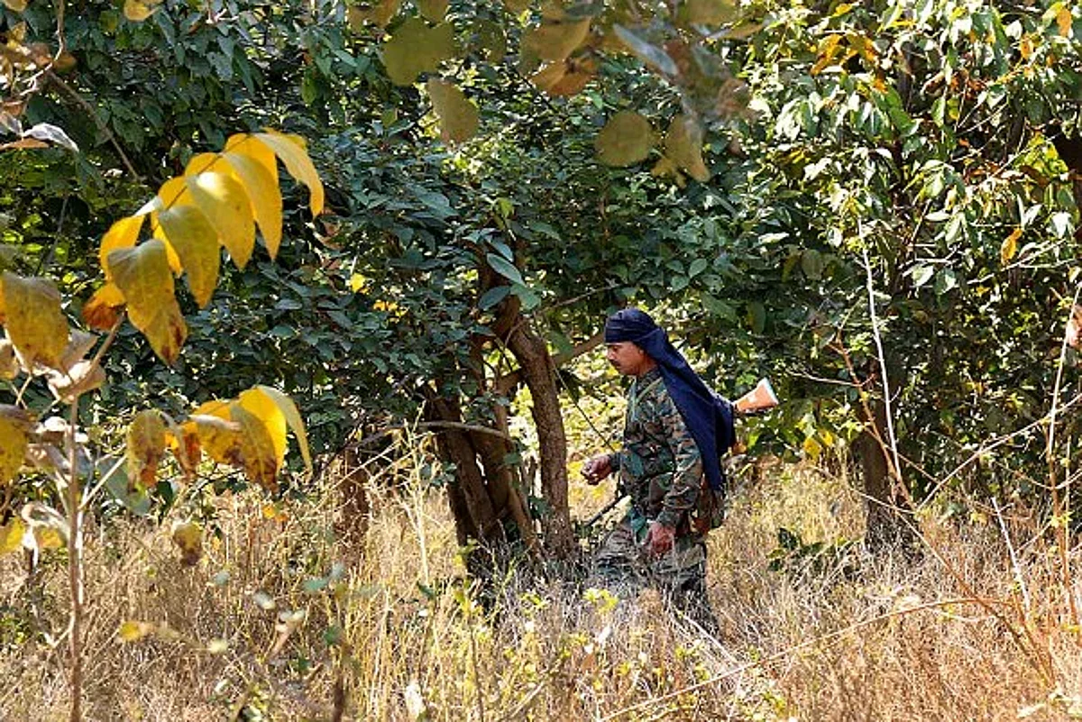 दोन जहाल नक्षलवाद्यांचे आत्मसमर्पण