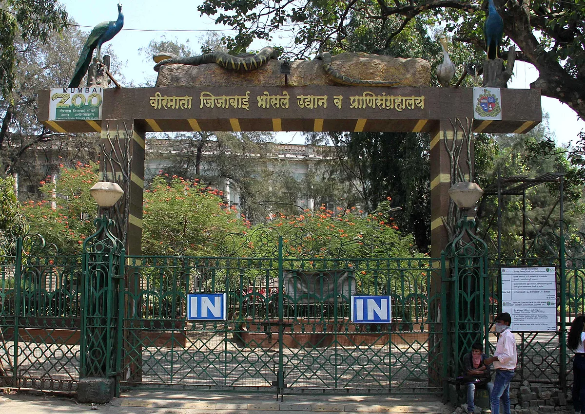 वीरमाता जिजाबाई भोसले उद्यानातील प्राणीसंग्रहालयात पर्यटकांकडून प्राण्यांना त्रास