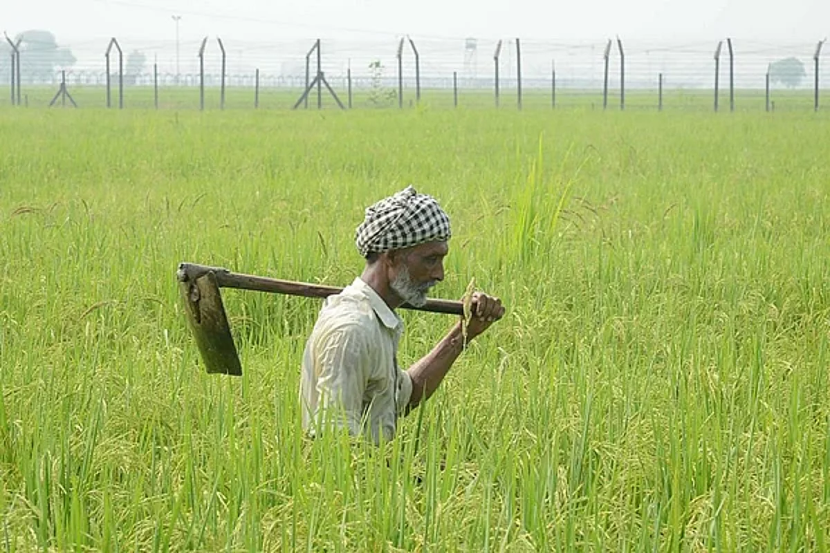 ठाणे जिल्हात ४४ टक्के पीक कर्ज वितरीत,बॅंकांनी शिबीर आयोजीत करण्याचे निर्देश
