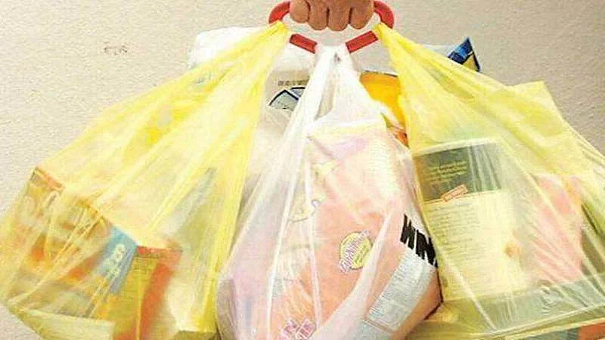 प्लास्टिक पिशव्या विकणाऱ्यांवर कठोर कारवाई होणार