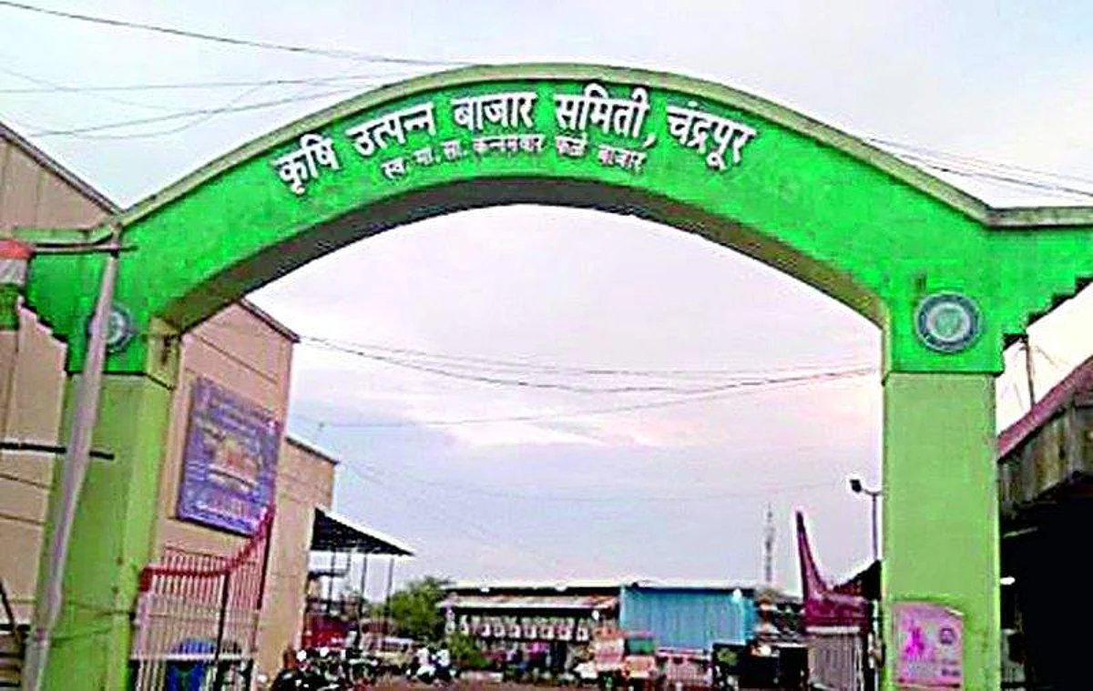 शेतकऱ्यांना मतदानाचा अधिकार मिळणार,फडणवीस सरकारचा निर्णय