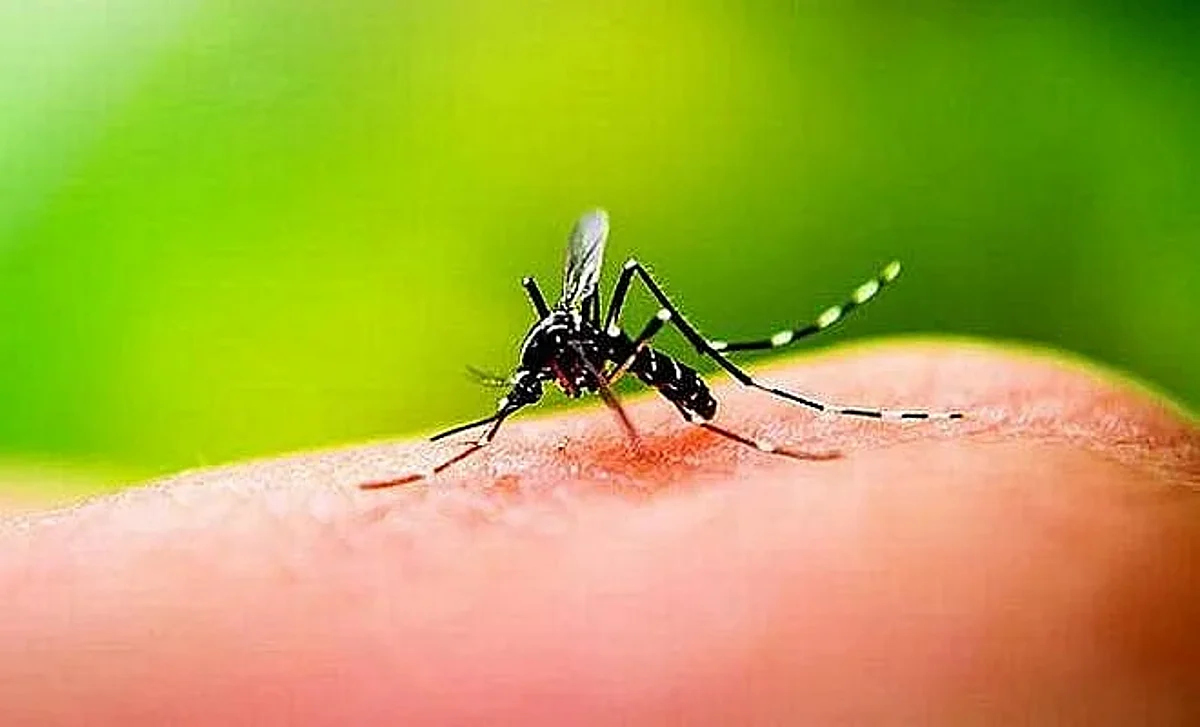 साथीच्या आजारांनी तालुक्यातील नागरिक त्रस्त,डेंग्यू, लेप्टोचे वाढते रूग्ण