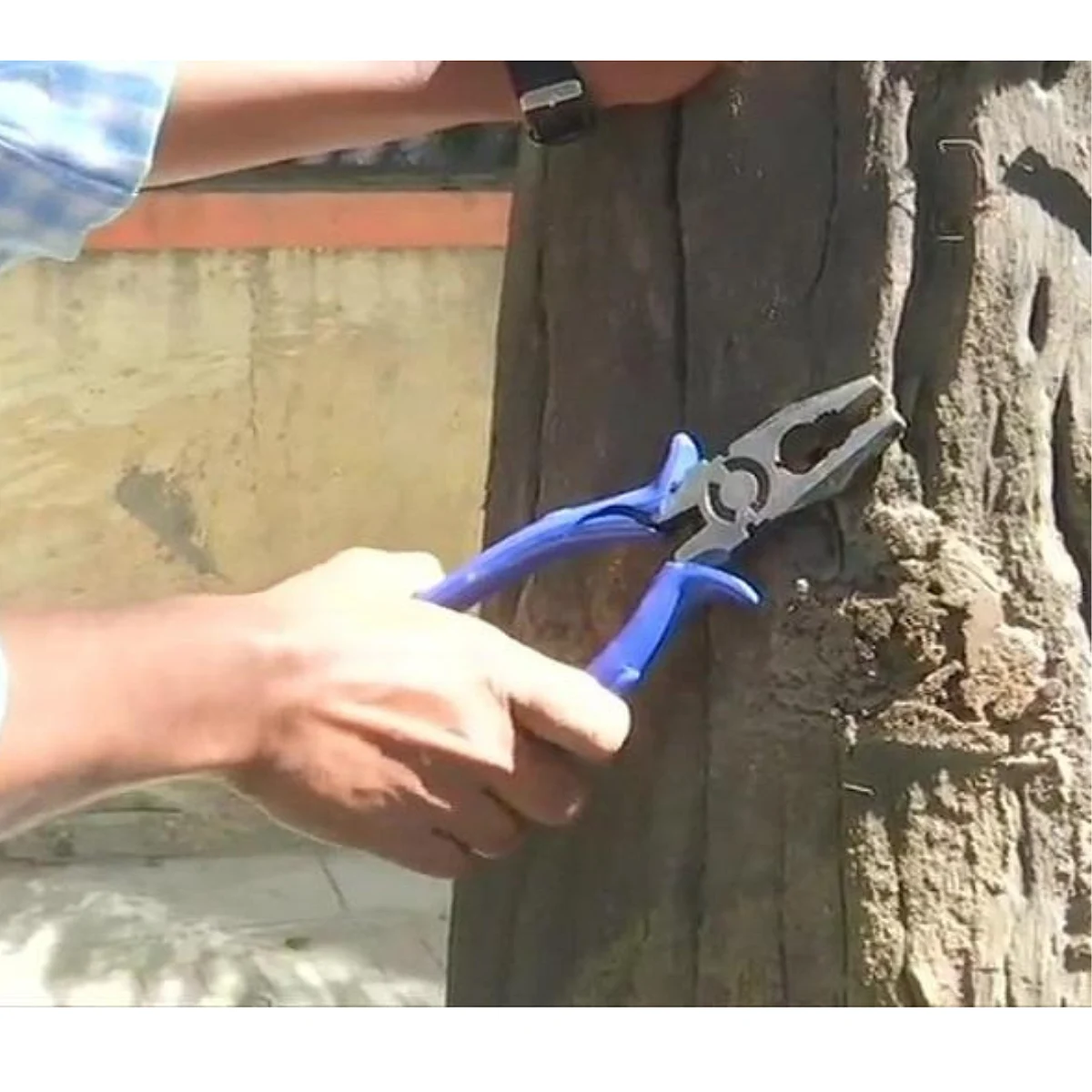 झाडांवर जाहिरात फलकांसाठी खिळे ठोकणाऱ्यांवर कडक कारवाईची मनसेची मागणी
