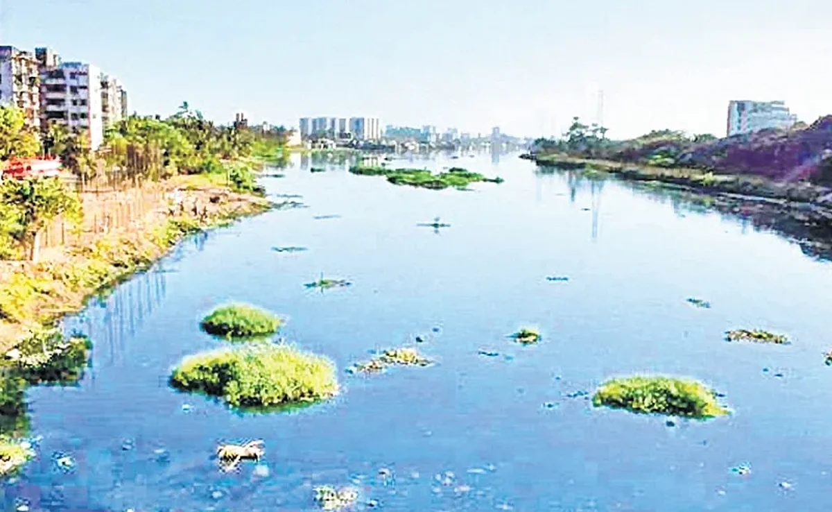 मिठी नदीच्या रुंदीकरणात १९ घरांचे बांधकाम जमीनदोस्त करण्यात येणार