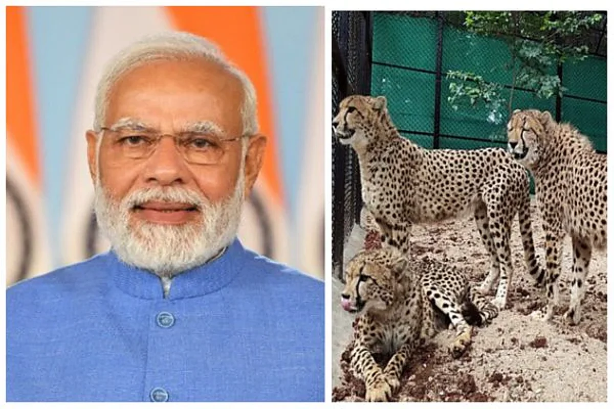 ‘चित्ता’कर्षण!